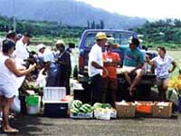 Farmers Market