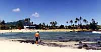 Poipu Beach Park